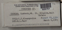Image Associated With the Occurence